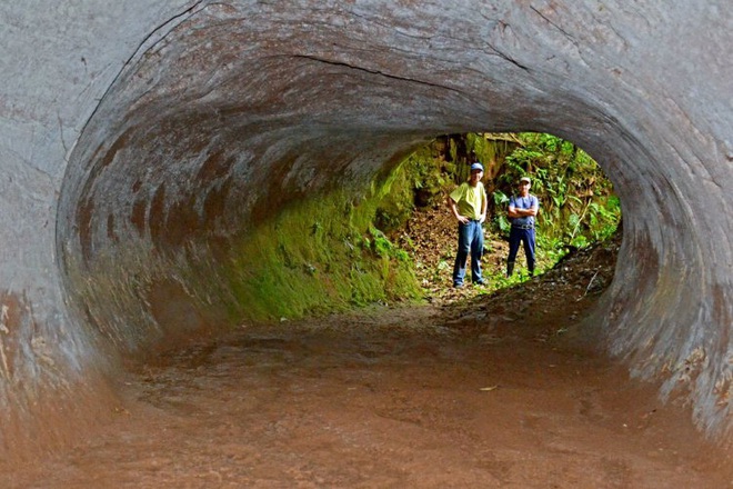 Đi tìm lời giải cho những đường hầm đá bí ẩn tại Nam Mỹ, đầy dấu vết móng vuốt của một loài thú khổng lồ - Ảnh 1.
