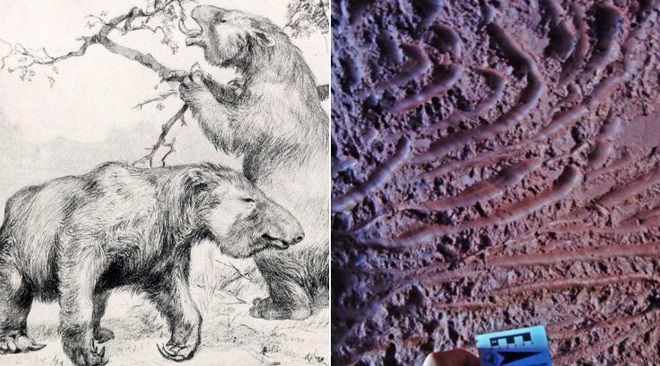 Đi tìm lời giải cho những đường hầm đá bí ẩn tại Nam Mỹ, đầy dấu vết móng vuốt của một loài thú khổng lồ - Ảnh 4.