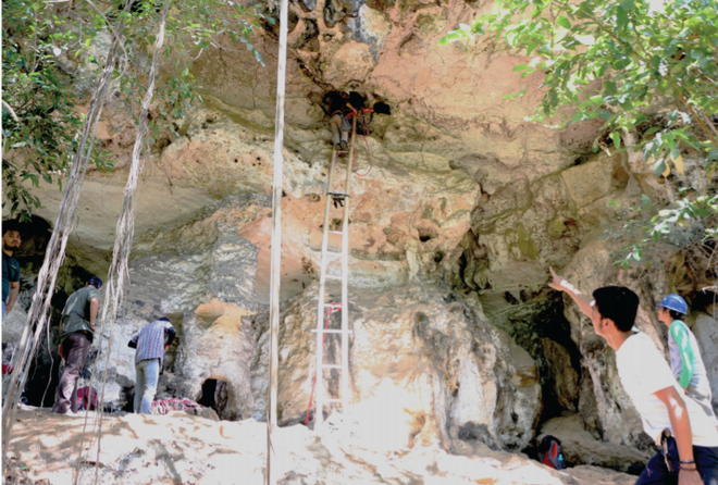 Phát hiện tác phẩm nghệ thuật lâu đời nhất thế giới trong hang động ở Indonesia - Ảnh 1.