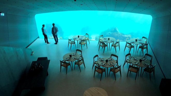 Ăn thử ở nhà hàng dưới nước đầu tiên ở Châu Âu: Dùng bữa ở độ sâu 5m, ngắm cá bơi tung tăng trước mặt với 10 triệu đồng/người - Ảnh 8.