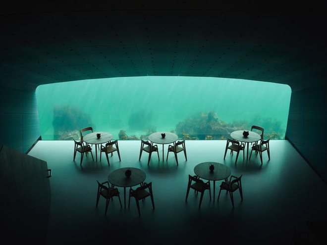 Ăn thử ở nhà hàng dưới nước đầu tiên ở Châu Âu: Dùng bữa ở độ sâu 5m, ngắm cá bơi tung tăng trước mặt với 10 triệu đồng/người - Ảnh 5.