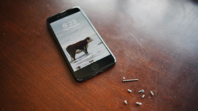 Cổng sạc Lightning trong iPhone của bạn có thể đang bị bẩn tới ghê người - Ảnh 1.