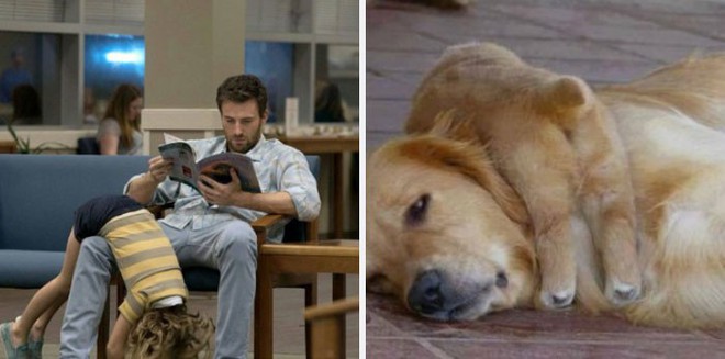 [Vui] Twitter chỉ ra sự giống sau đến kỳ lạ giữa tài tử Chris Evans và chó Golden Retriever - Ảnh 3.