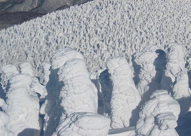 Tuyết phủ cao tới 17m, thung lũng quanh co ở Nhật được mệnh danh là The Wall đời thực - Ảnh 14.
