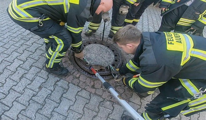 Đức: Chuột béo đến nỗi mắc kẹt ở nắp cống, 7 lính cứu hỏa phải toát mồ hôi mới cứu được - Ảnh 5.