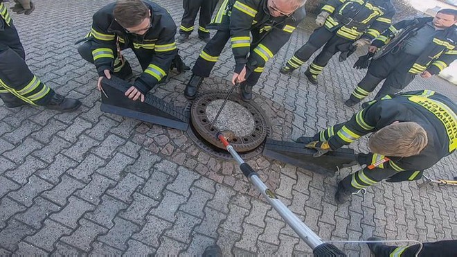 Đức: Chuột béo đến nỗi mắc kẹt ở nắp cống, 7 lính cứu hỏa phải toát mồ hôi mới cứu được - Ảnh 6.