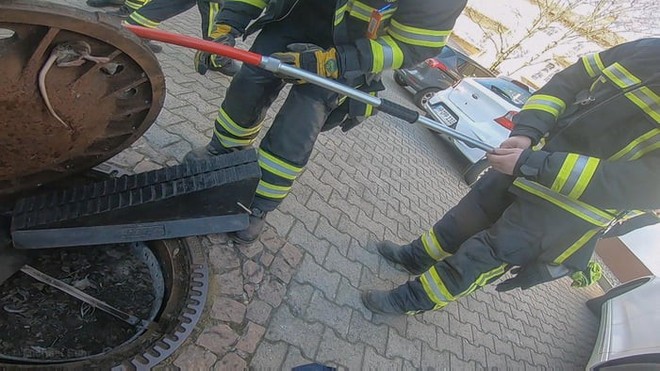 Đức: Chuột béo đến nỗi mắc kẹt ở nắp cống, 7 lính cứu hỏa phải toát mồ hôi mới cứu được - Ảnh 7.