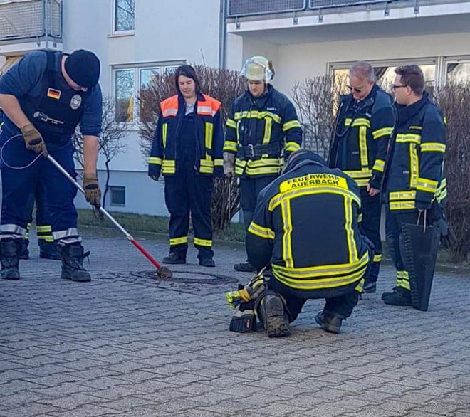 Đức: Chuột béo đến nỗi mắc kẹt ở nắp cống, 7 lính cứu hỏa phải toát mồ hôi mới cứu được - Ảnh 2.