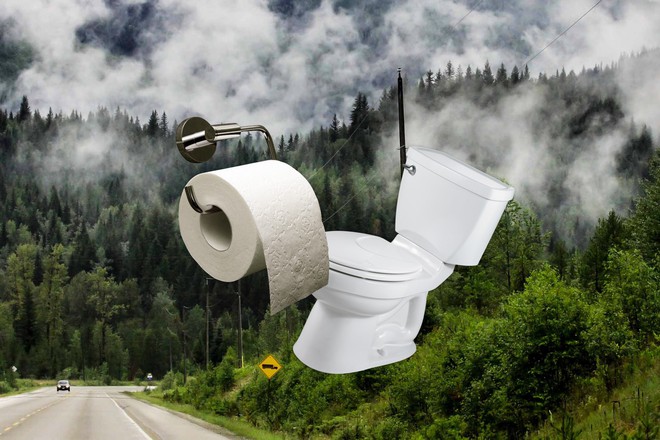 Lượng giấy vệ sinh người Mỹ dùng trong 1 năm bằng cả cánh rừng Canada - Ảnh 2.