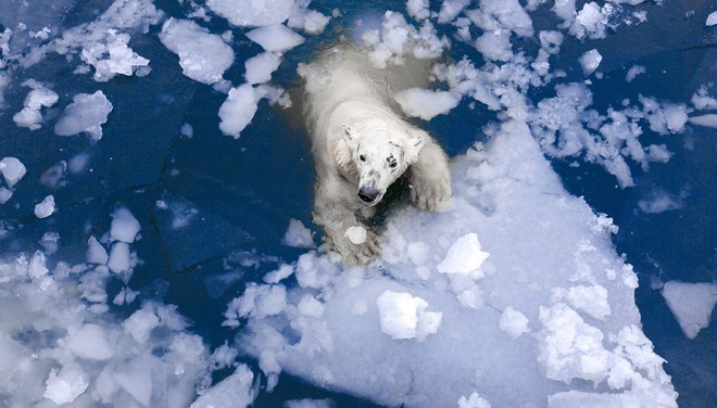 Tin chính thức: Chúng ta không thể làm gì để ngăn nhiệt độ Bắc Cực tăng - Ảnh 3.