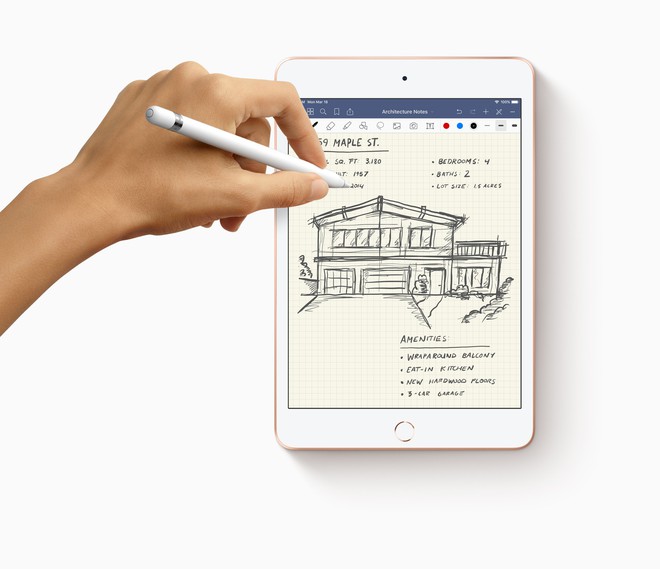 iPad Air và iPad mini mới chỉ hỗ trợ Apple Pencil đời đầu, vậy làm sao để phân biệt iPad nào tương thích với bút gì? - Ảnh 1.