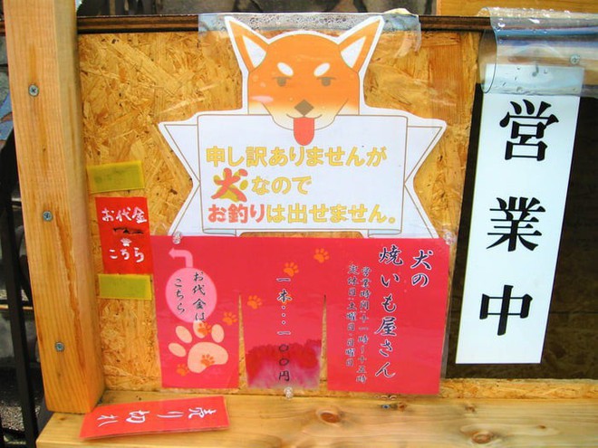 Một quầy khoai lang nướng ở Nhật để chó shiba quản lý thay vì con người - Ảnh 4.