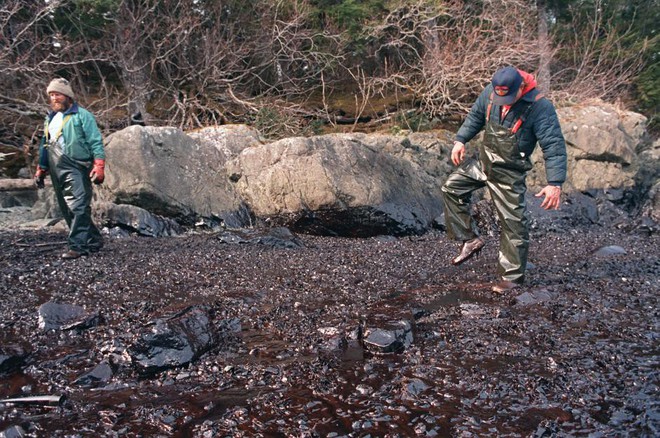 Sau 30 năm, những bức ảnh từ thảm họa tràn dầu Exxon Valdez vẫn còn gây ám ảnh - Ảnh 21.