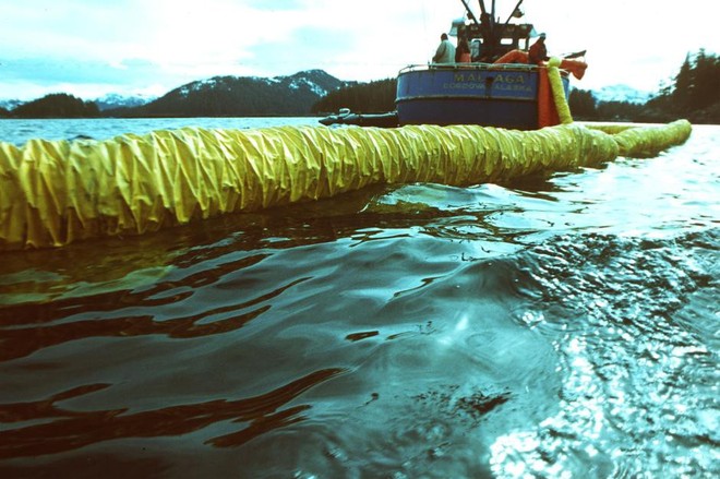 Sau 30 năm, những bức ảnh từ thảm họa tràn dầu Exxon Valdez vẫn còn gây ám ảnh - Ảnh 4.