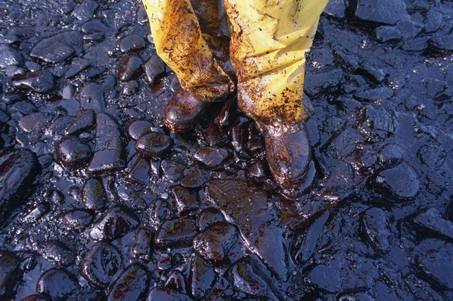 Sau 30 năm, những bức ảnh từ thảm họa tràn dầu Exxon Valdez vẫn còn gây ám ảnh - Ảnh 9.