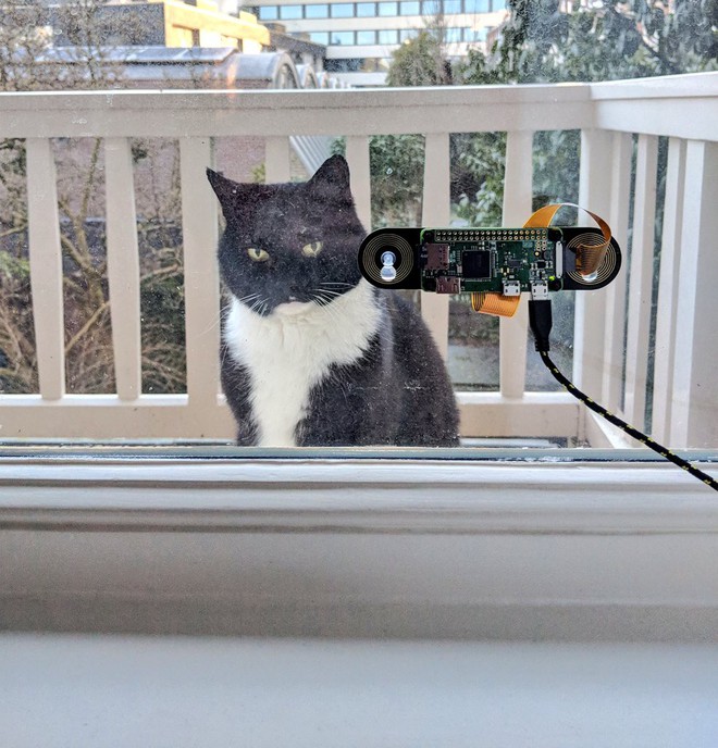 Kỹ sư chế tạo hệ thống nhận diện mặt mèo bằng Raspberry Pi, giá chỉ hơn 1 triệu đồng - Ảnh 2.
