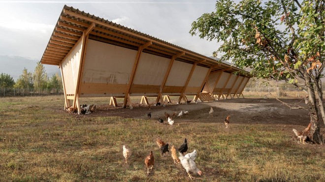 Chiêm ngưỡng chiếc chuồng gà giá 20.000 USD, được thiết kế bởi công ty kiến trúc danh tiếng - Ảnh 1.