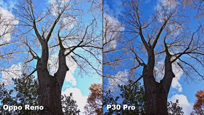 Đã có ảnh chụp thử so sánh giữa OPPO Reno 10X Zoom và Huawei P30 Pro, Galaxy S10 - Ảnh 5.