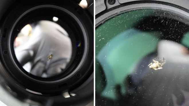 Làm thế nào một con ruồi trưởng thành có thể chui vào chiếc ống kính camera kín mít giá 2.000 USD - Ảnh 2.