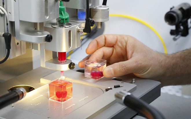 Đột phá: Các nhà khoa học Israel vừa tạo ra quả tim in 3D đầu tiên từ tế bào người - Ảnh 3.