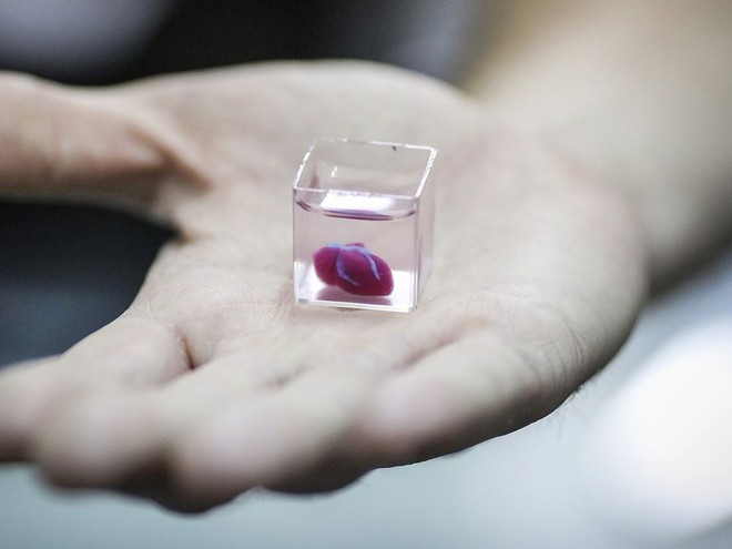 Đột phá: Các nhà khoa học Israel vừa tạo ra quả tim in 3D đầu tiên từ tế bào người - Ảnh 1.