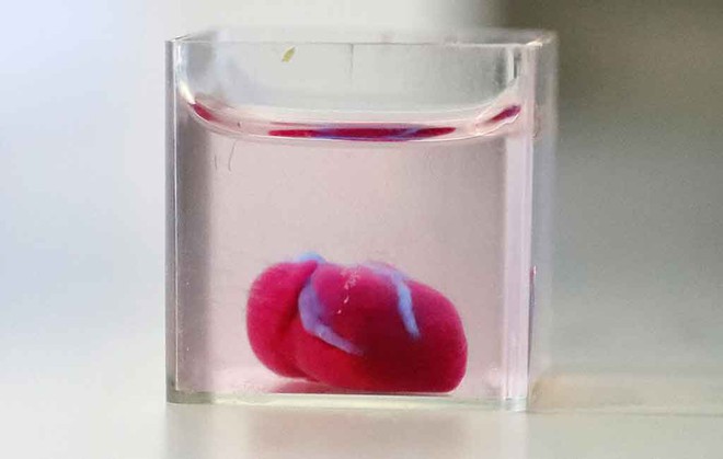 Đột phá: Các nhà khoa học Israel vừa tạo ra quả tim in 3D đầu tiên từ tế bào người - Ảnh 2.
