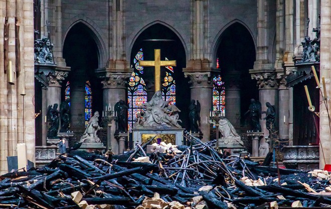 Nước Pháp không còn cây gỗ đủ cao để phục chế mái nhà thờ Đức Bà - Ảnh 3.