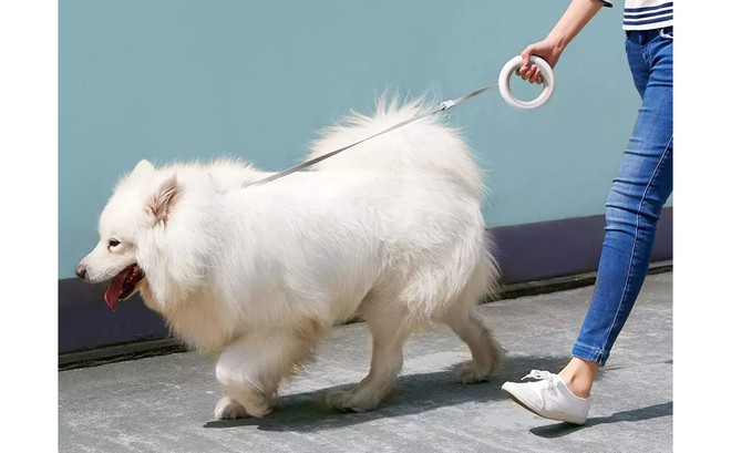 Xiaomi ra mắt dây dắt chó thông minh, tích hợp đèn pin, giá khoảng 1 triệu - Ảnh 2.