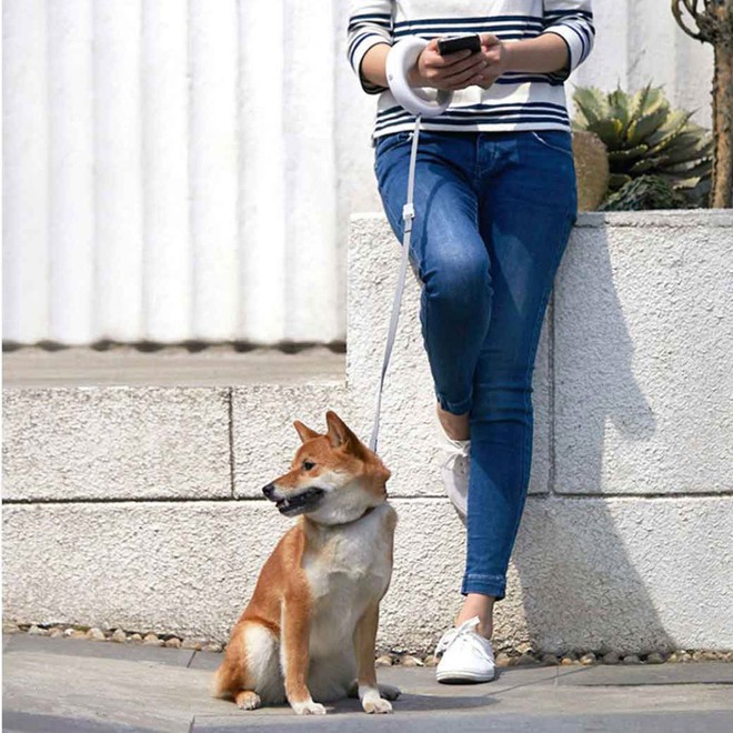 Xiaomi ra mắt dây dắt chó thông minh, tích hợp đèn pin, giá khoảng 1 triệu - Ảnh 6.