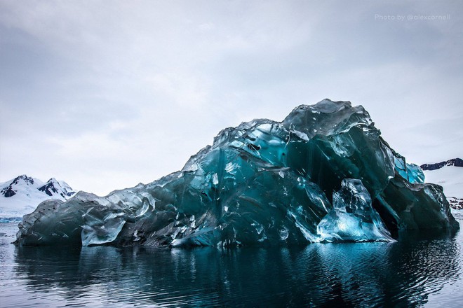 Cực độc tảng băng ngọc lục bảo tuyệt mỹ ở Nam Cực: Phải may mắn lắm mới có thể bắt gặp khoảnh khắc này! - Ảnh 7.