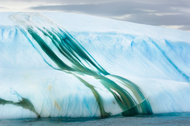Cực độc tảng băng ngọc lục bảo tuyệt mỹ ở Nam Cực: Phải may mắn lắm mới có thể bắt gặp khoảnh khắc này! - Ảnh 8.