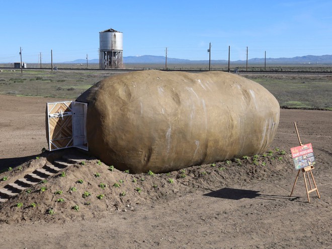 Củ khoai tây nặng 6 tấn gây sốt khi biến thành phòng Airbnb với giá 4,6 triệu/đêm - Ảnh 1.