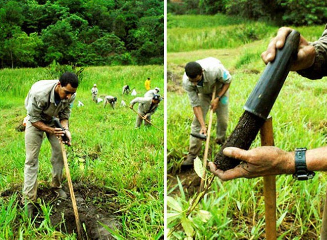 Trồng 4 triệu cây trong 20 năm, cặp vợ chồng Brazil hồi sinh khu rừng từng đối mặt sa mạc hóa, mở ra ngôi nhà cho hàng trăm loài động vật - Ảnh 4.