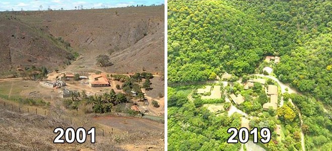 Trồng 4 triệu cây trong 20 năm, cặp vợ chồng Brazil hồi sinh khu rừng từng đối mặt sa mạc hóa, mở ra ngôi nhà cho hàng trăm loài động vật - Ảnh 10.