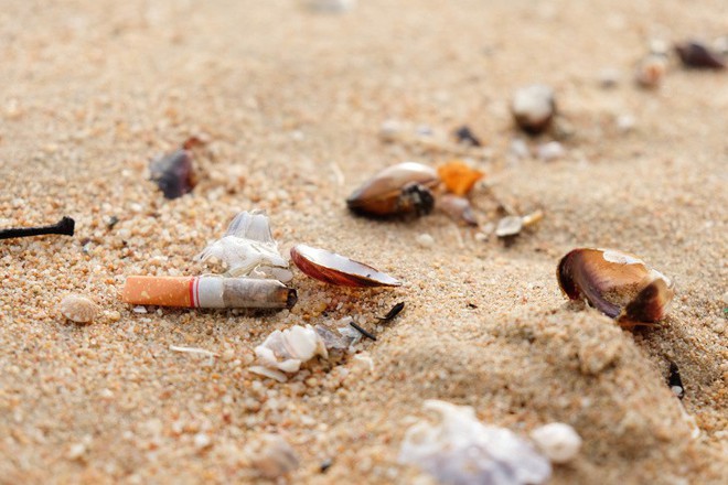 Ghé thăm hòn đảo không thuốc lá đầu tiên trên thế giới - Ảnh 1.