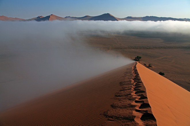 Chiến thuật sinh tồn tuyệt vời của loài bọ sống tại một trong những sa mạc khô nhất thế giới - Ảnh 1.