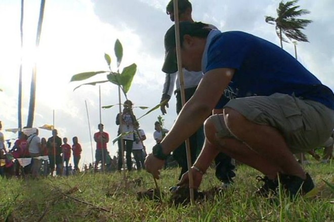 Philippines: Học sinh, sinh viên phải trồng 10 cây xanh mới được tốt nghiệp - Ảnh 2.