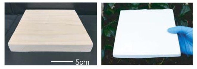 Các nhà khoa học tạo ra loại siêu gỗ mới, khỏe hơn cả nhôm, tự động làm mát mà không tốn điện - Ảnh 1.