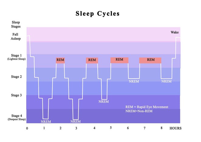 Sự thật về cái nút hoãn báo thức (Snooze) cứu vãn giấc ngủ mà nhiều người vẫn đang sử dụng - Ảnh 2.