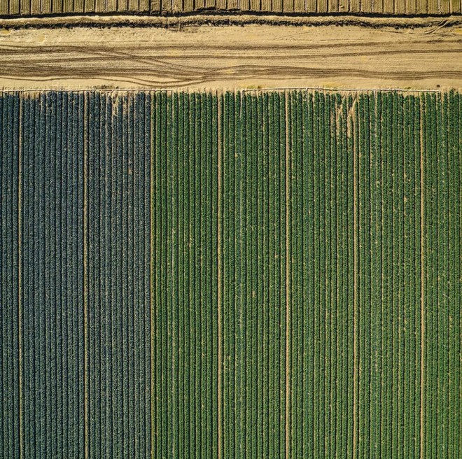 Khi những nông trại hóa thành bức ảnh nghệ thuật đẹp mê hồn dưới góc nhìn từ máy bay - Ảnh 12.