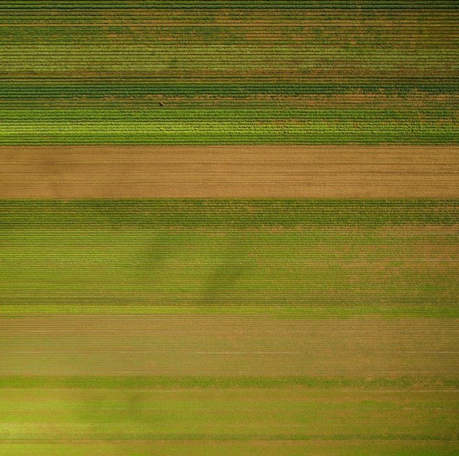 Khi những nông trại hóa thành bức ảnh nghệ thuật đẹp mê hồn dưới góc nhìn từ máy bay - Ảnh 10.