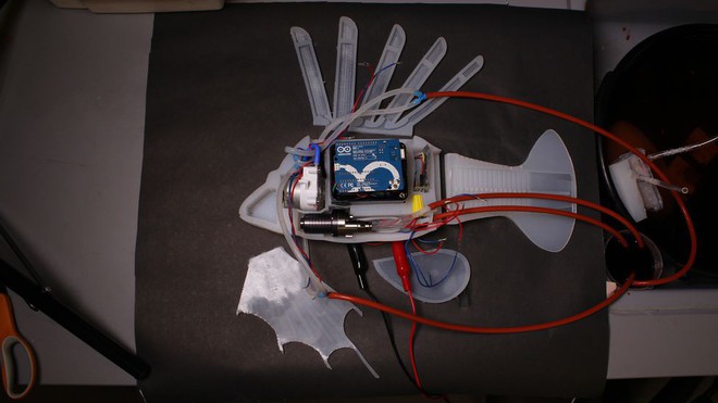 Các nhà khoa học vừa tạo ra robot cá chạy bằng máu - Ảnh 2.