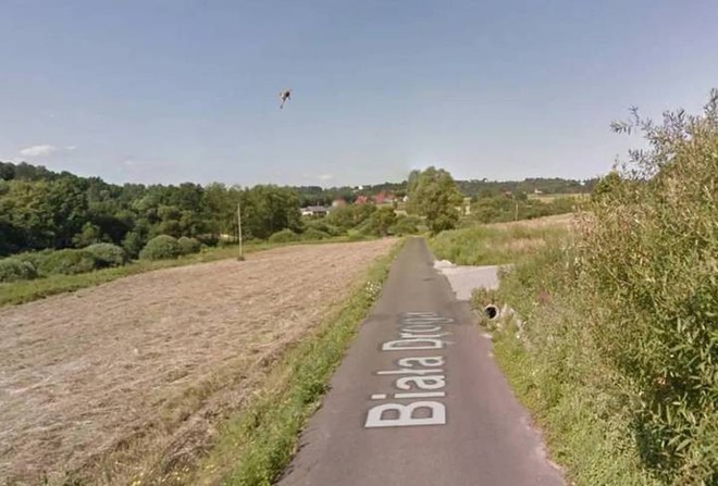 Google Street View ghi lại cảnh xe chụp hình đường phố đâm phải con thỏ lao qua đường - Ảnh 4.