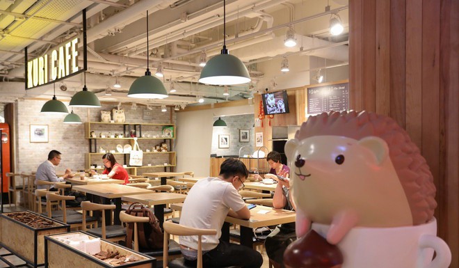 Việt Nam có cà phê chó mèo, Hong Kong chơi lớn mở hẳn cafe nhím - Ảnh 5.