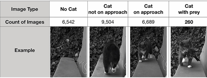 Chán cảnh mèo tha động vật chết về nhà, kỹ sư Amazon chế cửa mèo chui điều khiển bằng... AI - Ảnh 2.