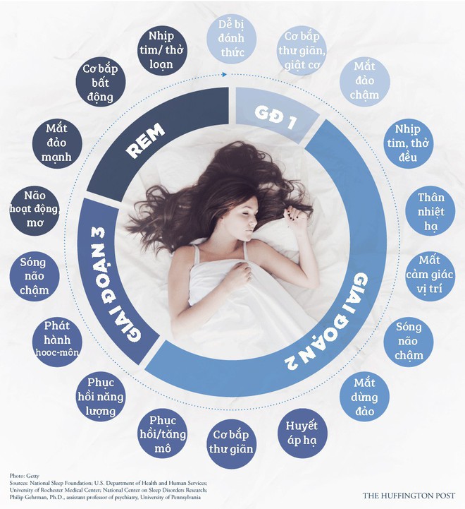 Tại sao nhiệt độ phòng là điều tối quan trọng cho một giấc ngủ ngon? - Ảnh 2.