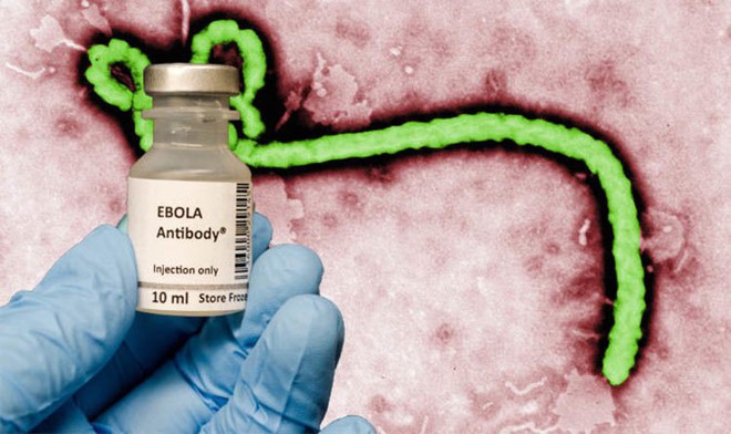 Đột phá: Các nhà khoa học tuyên bố đã chữa được Ebola - Ảnh 1.