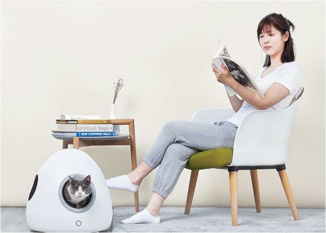 Xiaomi Crow khiến nhiều người ngạc nhiên khi gây quỹ cho tổ thú cưng thông minh Moestar Spaceship có giá 56 USD - Ảnh 2.