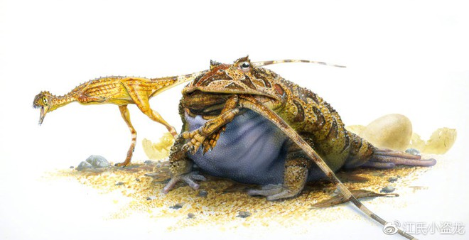 Beelzebufo - Loài ếch quỷ khổng lồ có thể nuốt chửng cả khủng long - Ảnh 6.