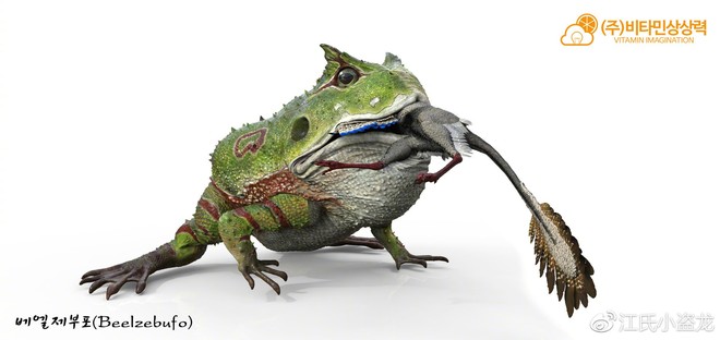 Beelzebufo - Loài ếch quỷ khổng lồ có thể nuốt chửng cả khủng long - Ảnh 1.
